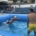 Jugador torrándose en una recepción dentro de la piscina deportiva watervolley spain